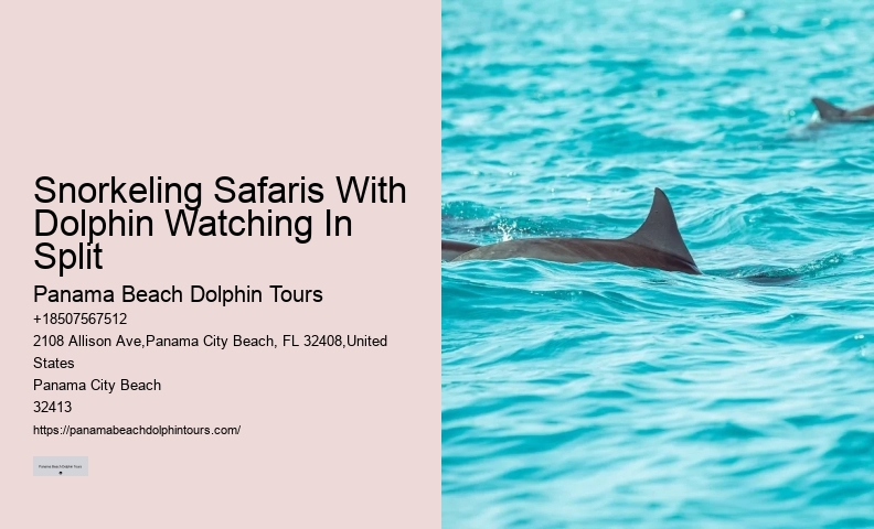 Private Dolphin Snorkeling Tours