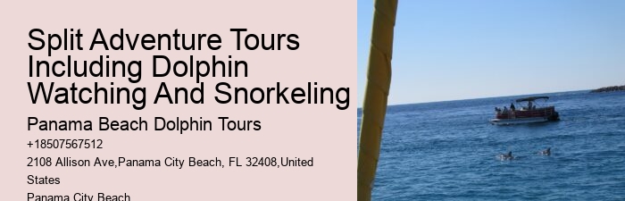 Dolphin And Snorkel Tours Panama City Beach
