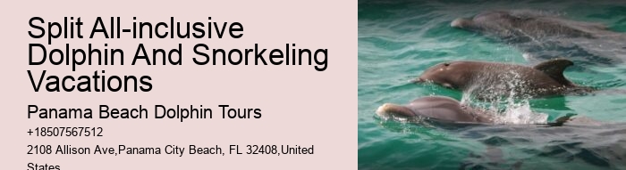 PCB Dolphin Spotting Cruises