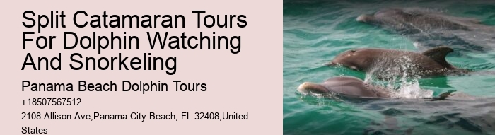How Long Is The Dolphin Swim Experience And What Is The Age