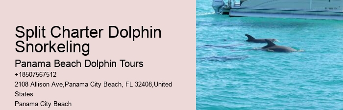 Feeding Or Harassing Marine Mammals In The Wild