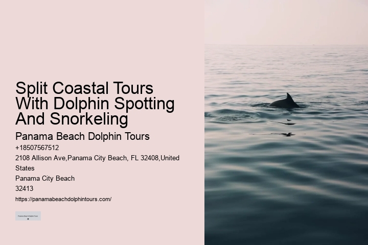 Dolphin boat rides in Panama City Beach