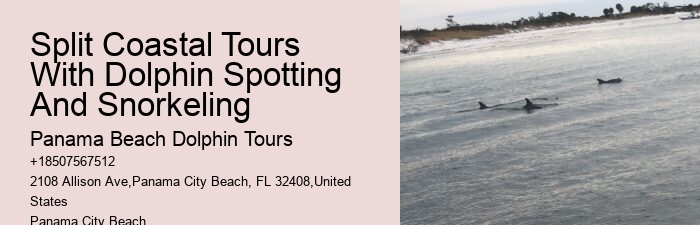 Split Coastal Tours With Dolphin Spotting And Snorkeling