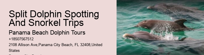 Can I book a private dolphin tour in Panama City Beach