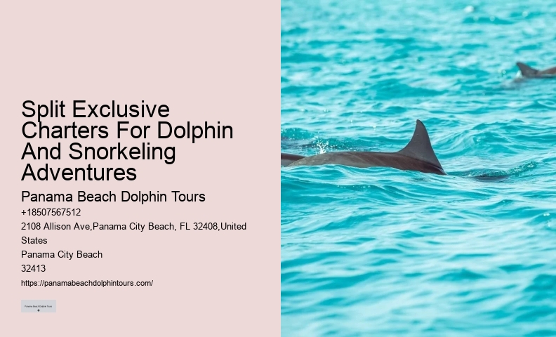 Panama City Beach dolphin boat excursions