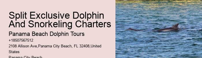 Dolphin sightseeing tours at Panama City Beach