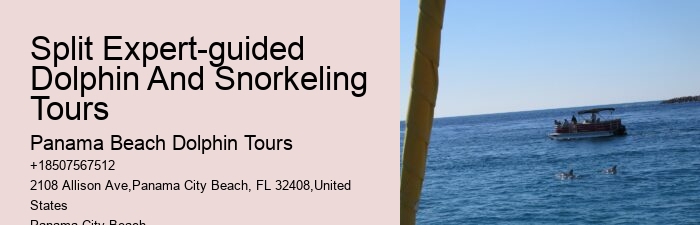 PCB Dolphin Sightseeing Trips