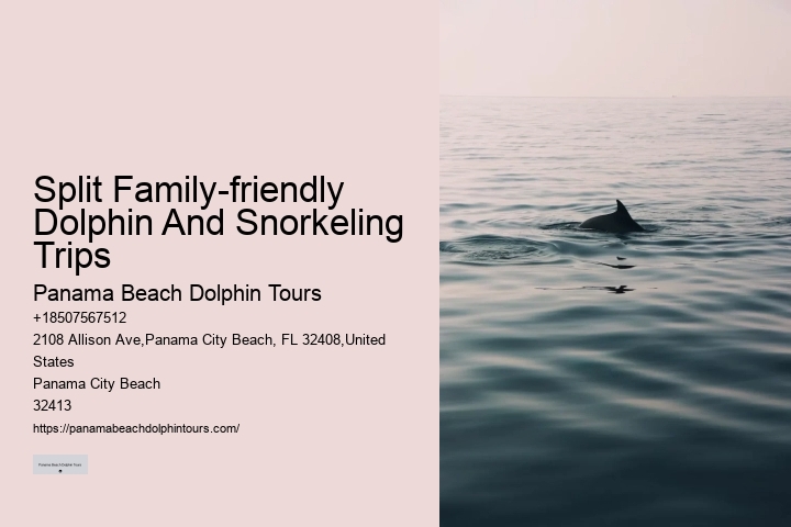 Split Thrilling Snorkeling And Dolphin Watching Charters