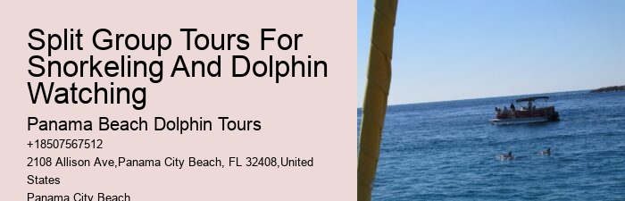 Boat Tours