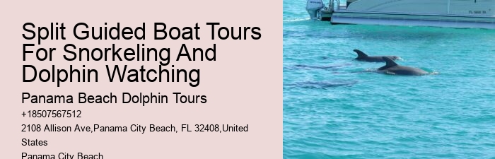 5 Reasons Not To Swim With Dolphins