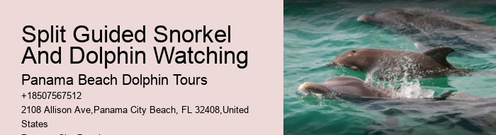 Panama City Beach dolphin expedition cruises