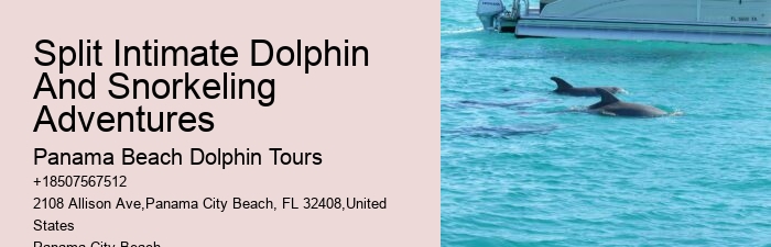 Best Cruise Panama City Beach