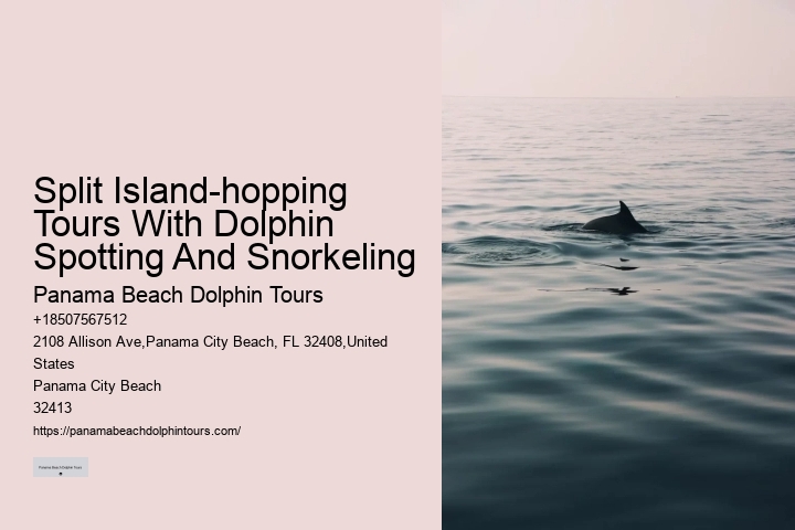 18 Best Places To Swim With Dolphins