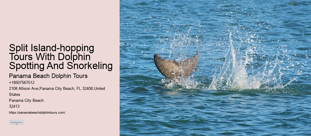 Split Private Charters For Dolphin And Snorkeling