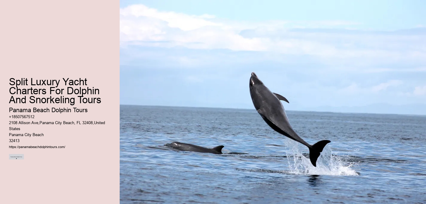 Split Eco-tours Featuring Dolphin Encounters And Snorkeling
