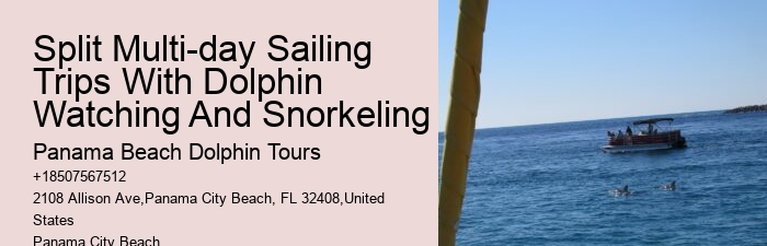 Split Catamaran Dolphin Watching And Snorkeling Expeditions