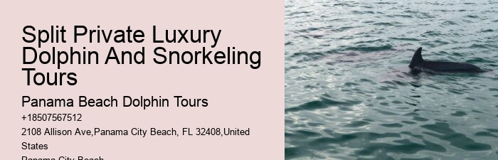 Exclusive Dolphin Discovery and Snorkeling Trips