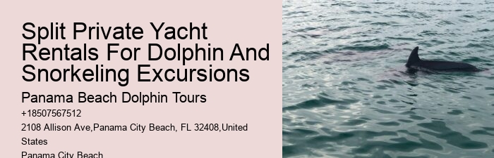 Why Can't You Touch Dolphins