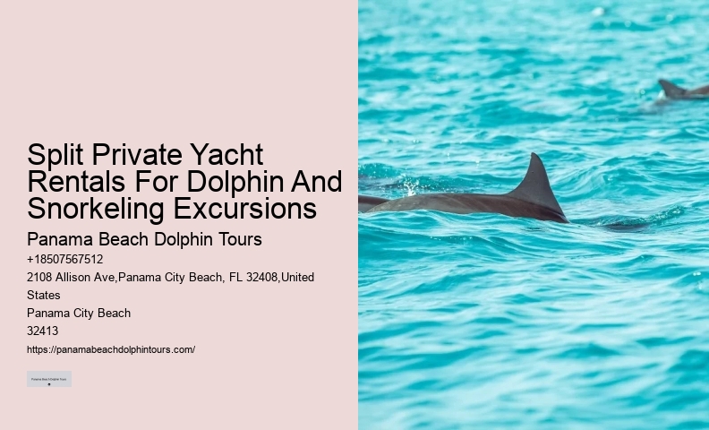 Split Snorkeling And Dolphin Sightseeing Expeditions