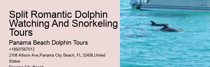 City Beach Dolphin Tours