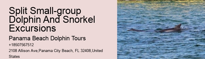 Can I request a specific time for my dolphin tour