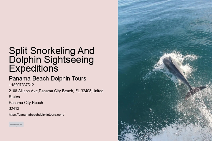 Split Unforgettable Snorkeling And Dolphin Trips