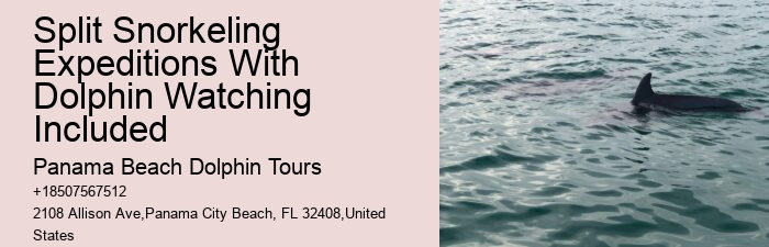 Panama City Beach Dolphin Tours Panama City Beach