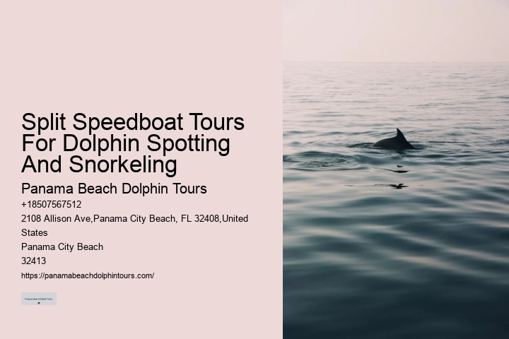 What Is The Life Expectancy Of A Dolphin In Captivity