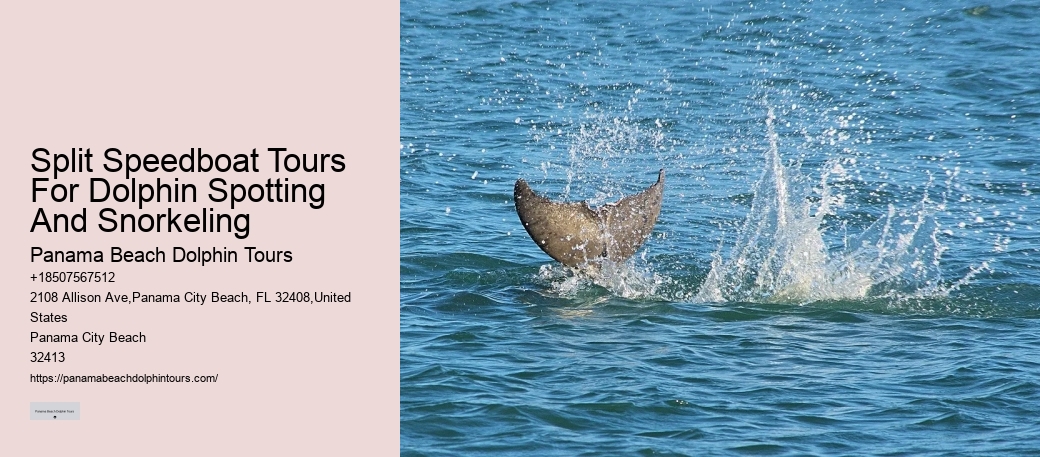 Rudee Dolphin Tours Reviews