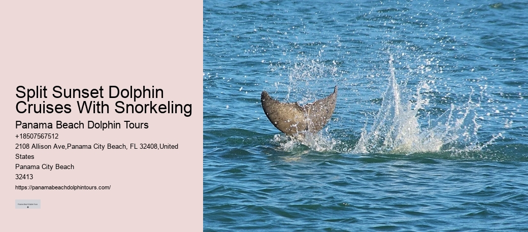 Split Catamaran Tours For Dolphin Watching And Snorkeling