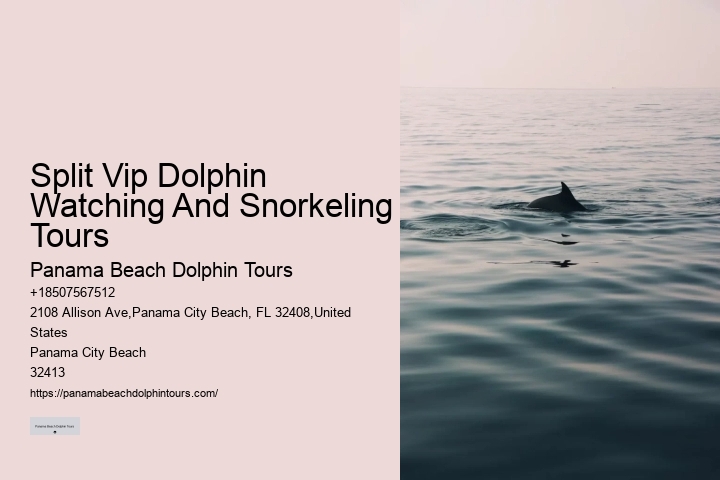 Panama City Beach Dolphin Voyage Tours