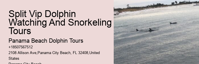 Jet Ski Dolphin Tours Panama City Beach Florida