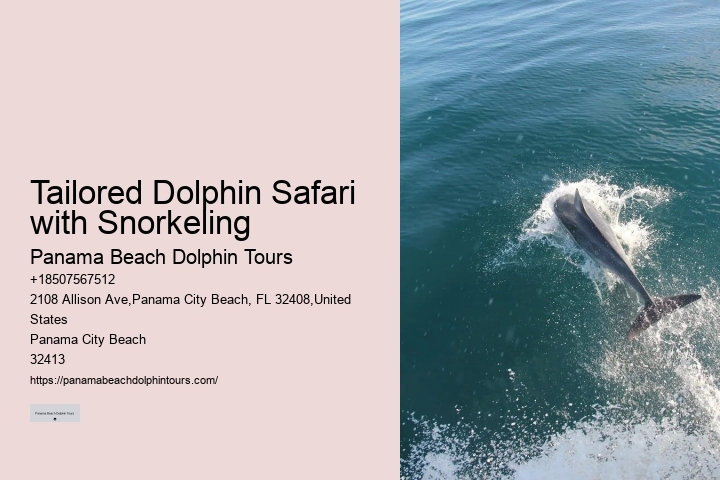 What Is The Best Time To See Dolphins In Panama City Beach