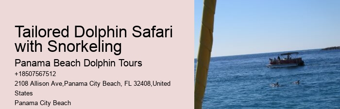Dolphin Tours Near Me Panama City Beach
