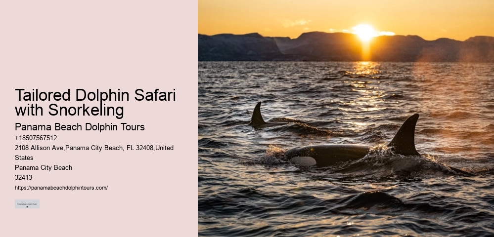 Private 2 Hour Dolphin And Snorkeling Tour
