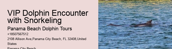 Dolphin Tours And Travels