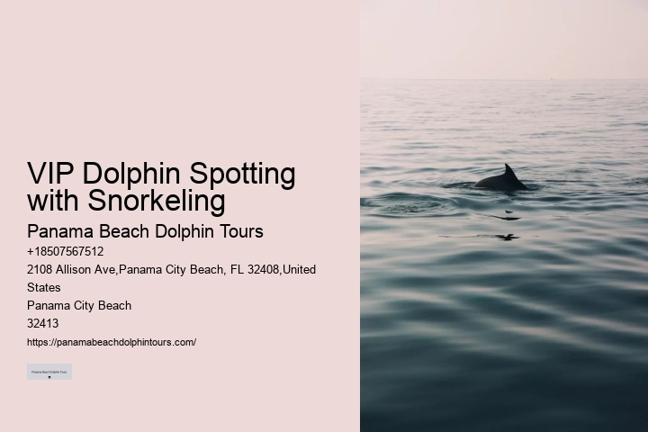 Panama City Beach dolphin excursion trips