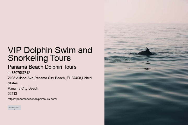 Dolphin Watching Excursions in PCB