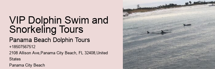 How Much Does It Cost To Swim With The Dolphins At Panama City Beach