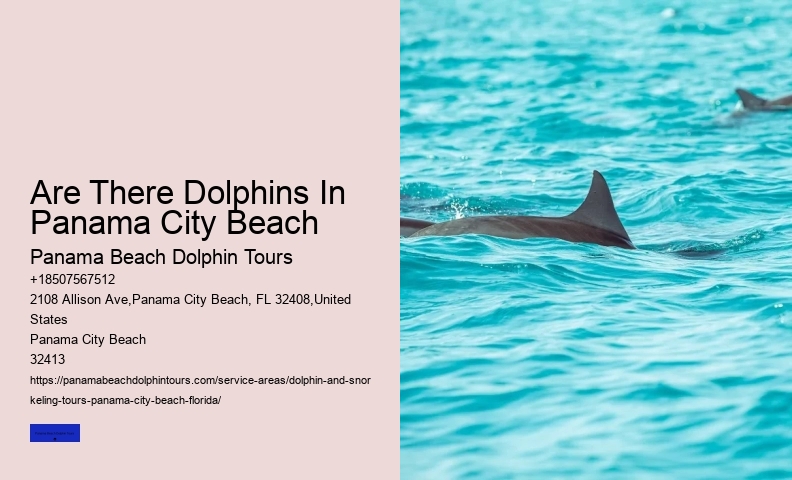 Panama City Beach Boat Tours To Shell Island