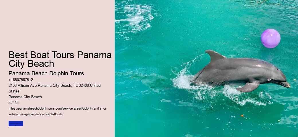 Jet Ski Dolphin Tours Panama City Beach