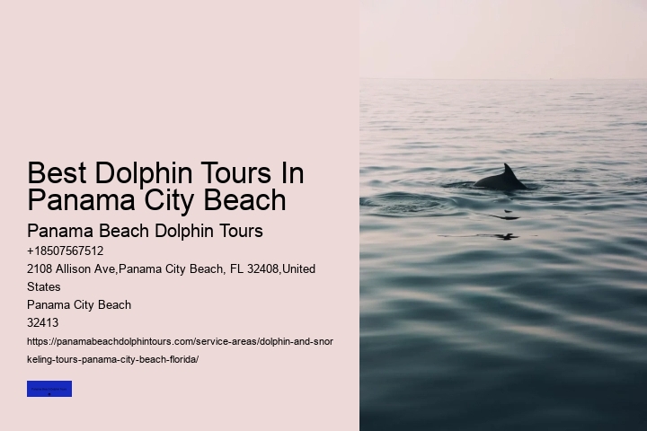 What Do You Wear To A Dolphin Encounter