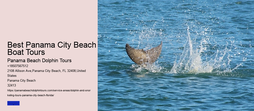 Can Dolphins Smell Menstrual Blood
