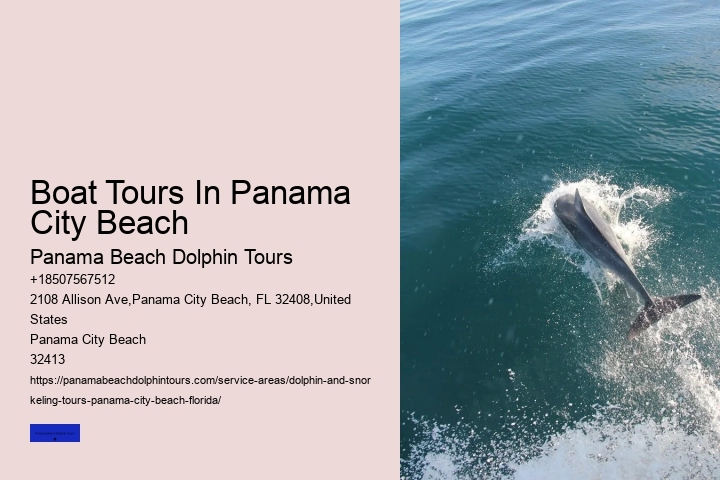 What Time Of Day Are Whales And Dolphins Most Active
