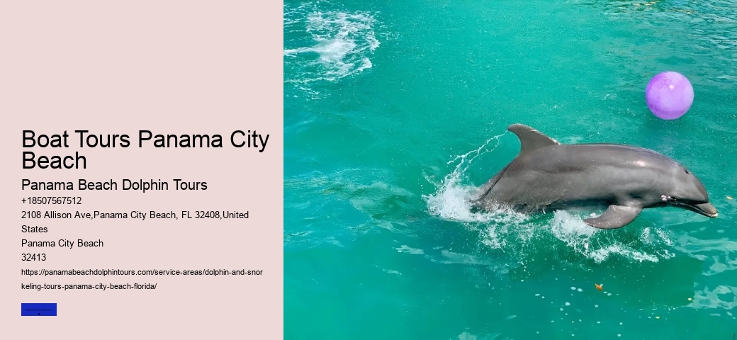 Shell Island Dolphin Tours Panama City Beach FL