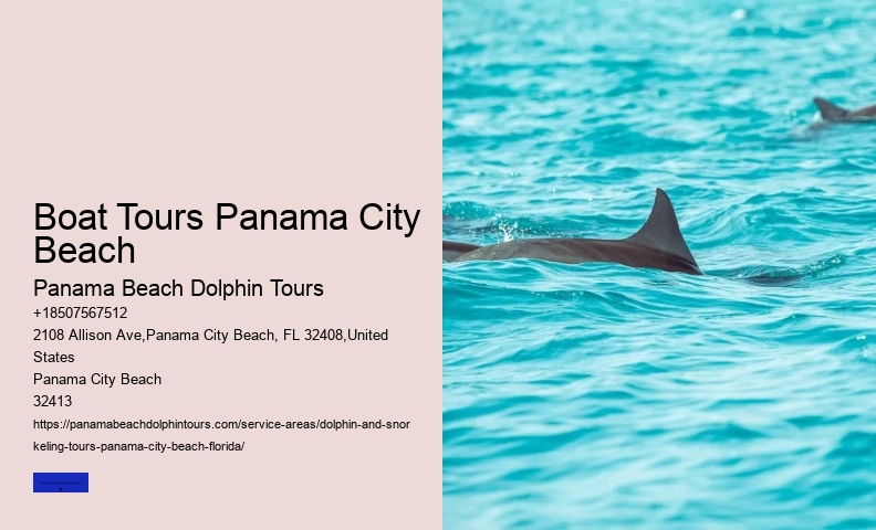 Sunset Dolphin Tours Panama City Beach