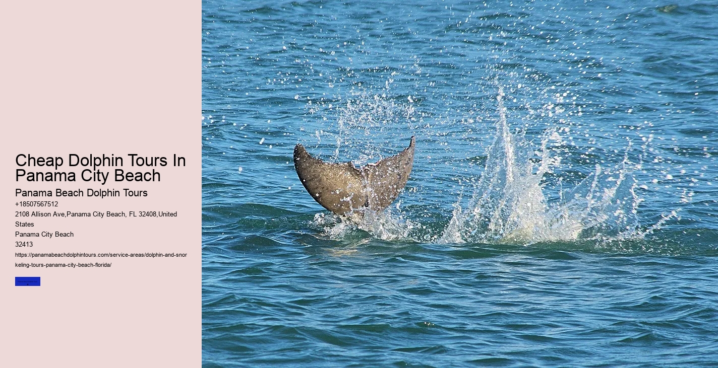 How To Catch Fish Even When Dolphins Are Around