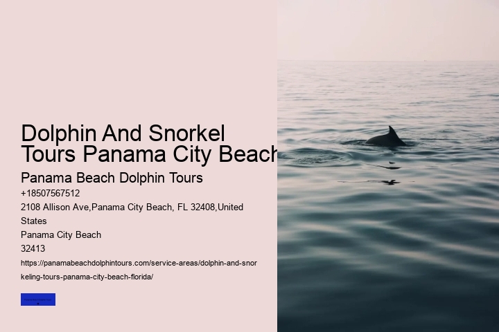 Do Dolphins Swim Close To Shore At Night