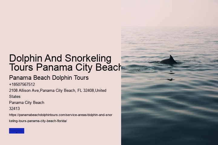 Shell Island Boat Tours Panama City Beach FL
