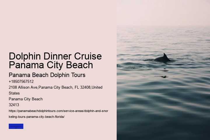 What Is The Difference Between Dolphin Encounter And Dolphin Swim